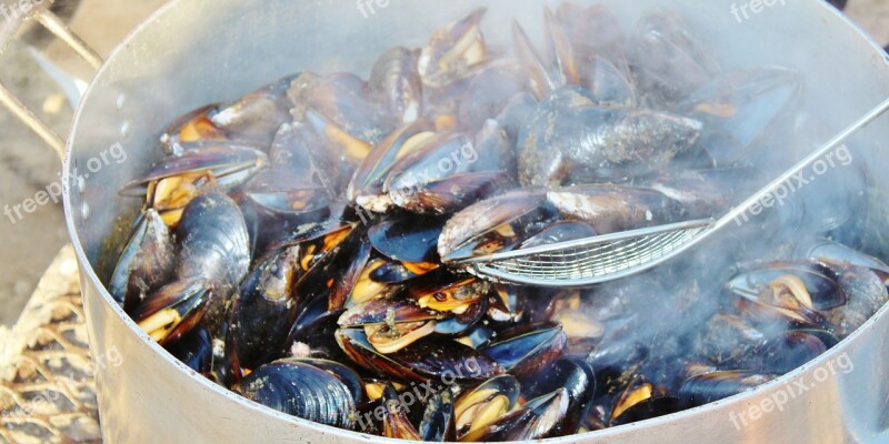 Mussels Cook Pot Steam Seafood