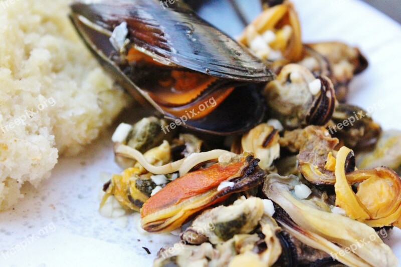 Shell Mussel Meat Seafood Gourmet Bread