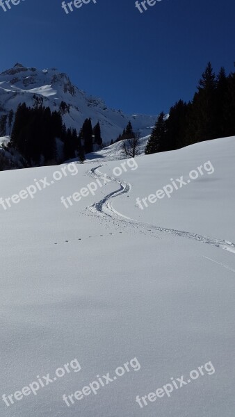 Ski Track Backcountry Skiiing Ski Tour Winter Sports