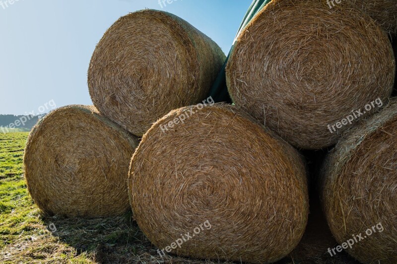 Hay Hay Bales Bale Harvest Round Bales