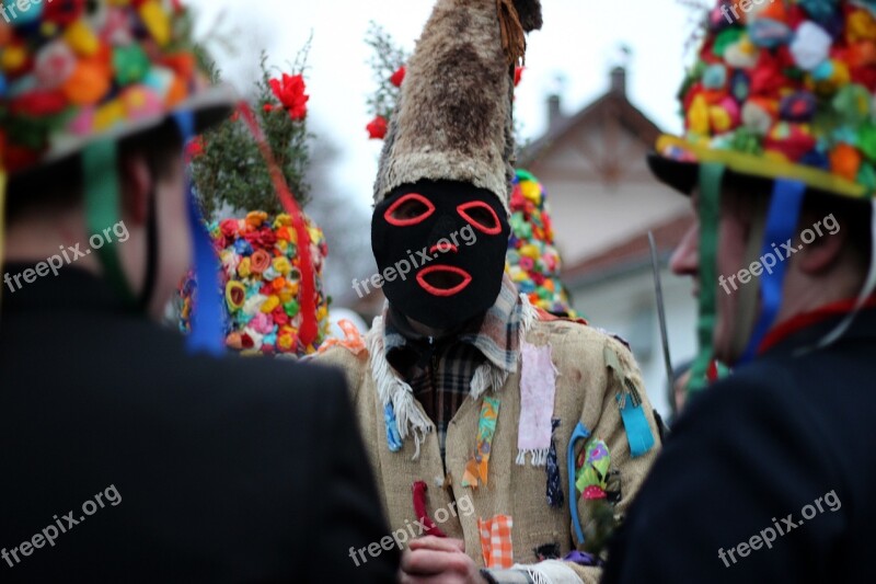 Carnival Colors Carol Mask Ružičky