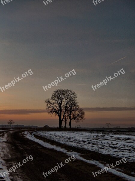 Winter Trees Path Nature Snowy