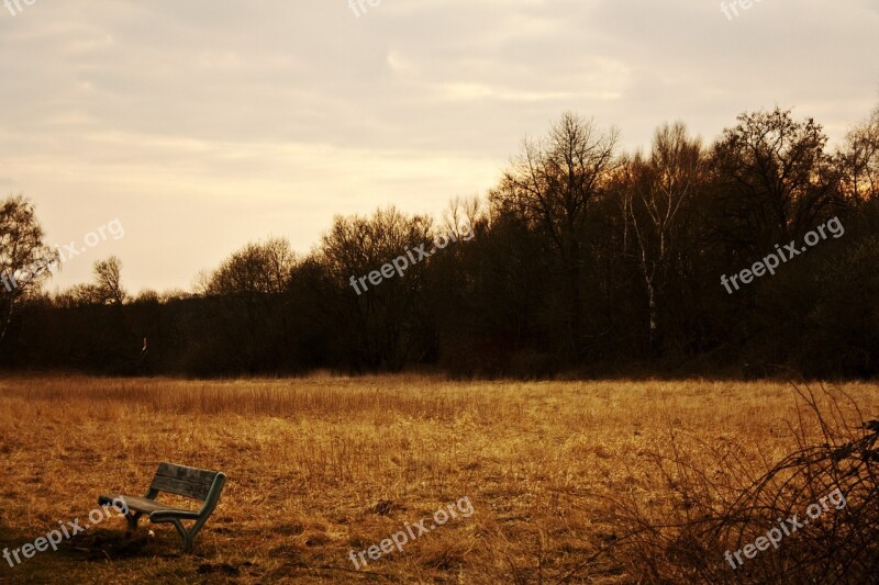 Bank Evening Rest Silent Sunset