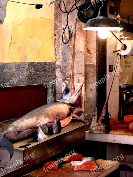 Syracuse Traditional Fishing Swordfish Sicily Fish