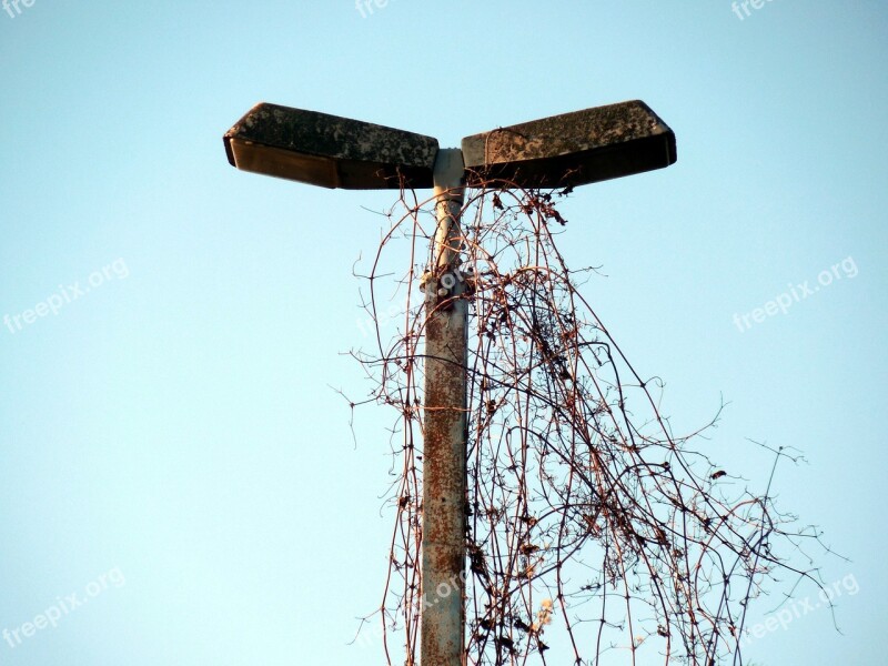 Lamp Lighting Old Weathered Rust