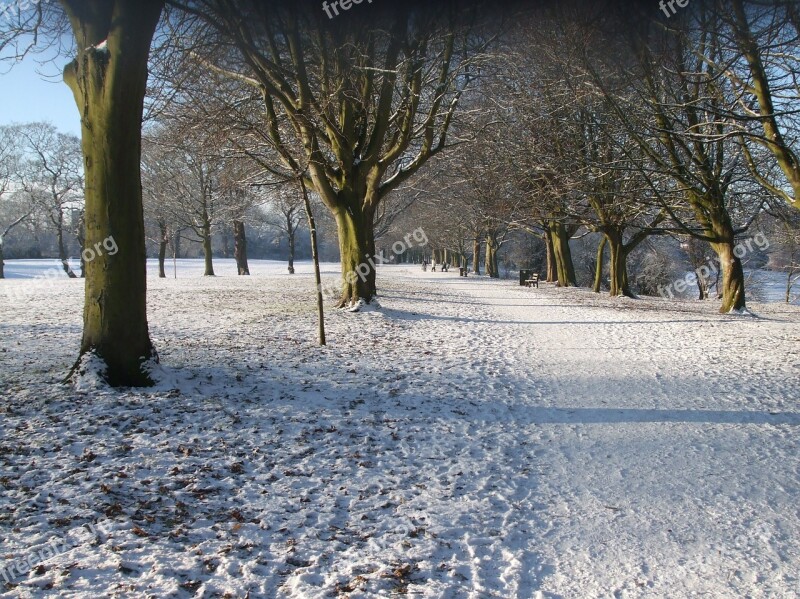 Snowy Park Trees Paths Free Photos