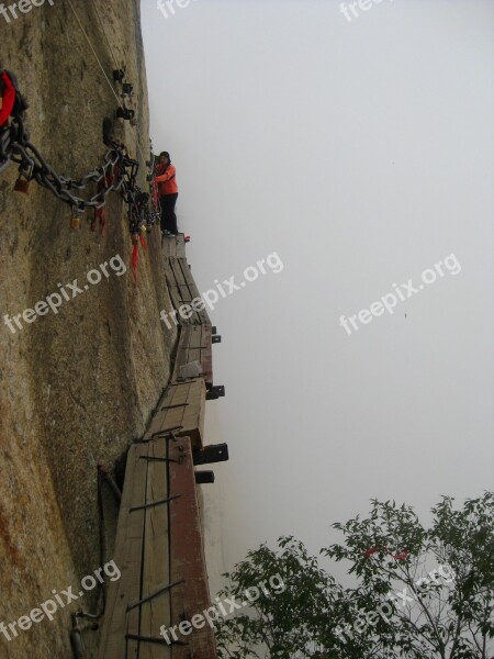 Mountain Pinus Armandii Cliff Adventure China