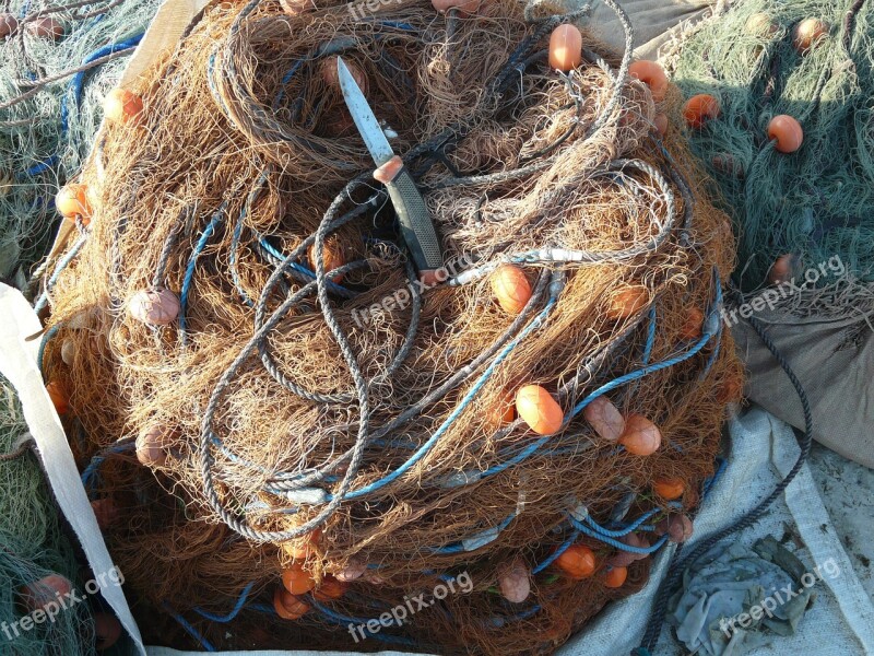 Web Fishing Fishing Net Mediterranean Free Photos