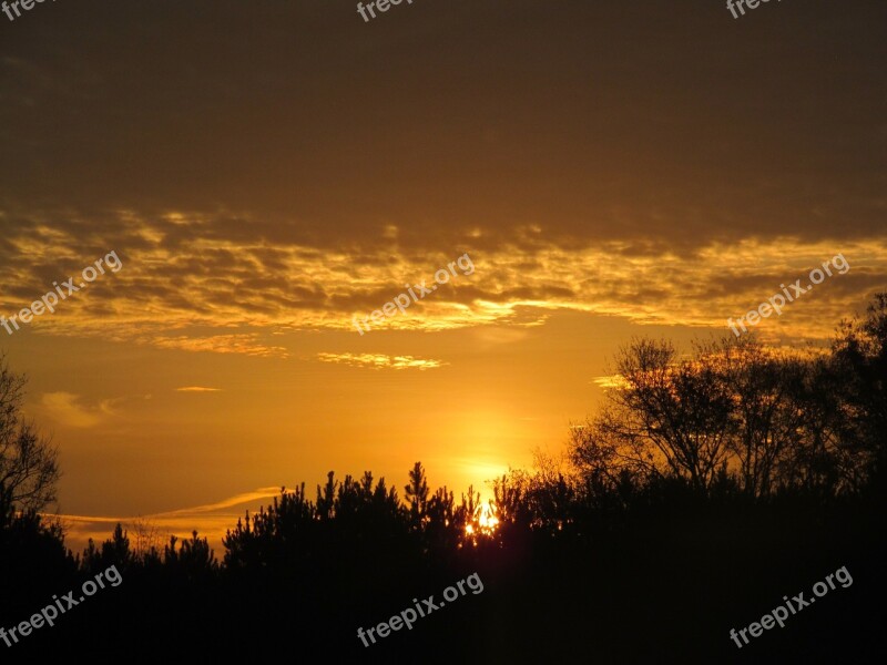 Sunrise Golden Sky Landscape Nature Free Photos