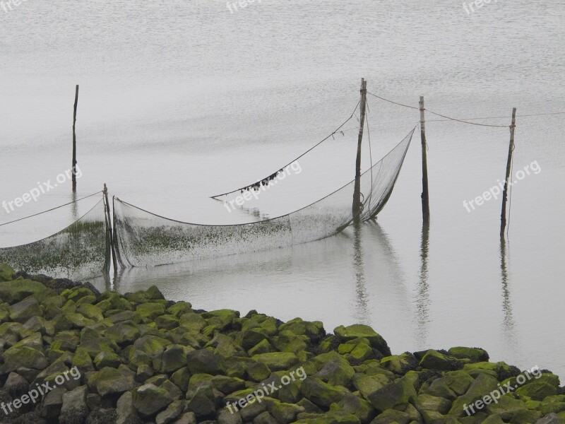 Sea Breakwater Cloudy Stones Moss