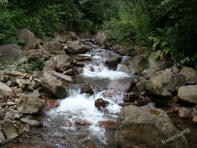 Rapids Rio Nature Atlantic Forest Free Photos