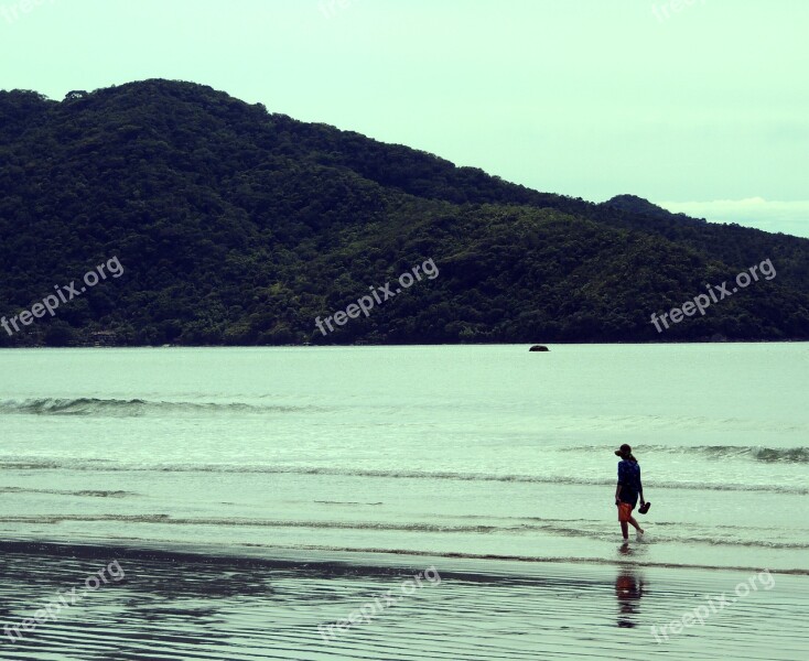 Beach Water Salt Water Mar Nature