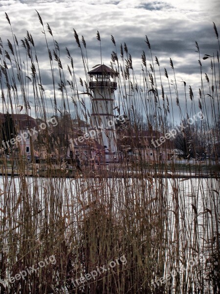 Autumn Water Tower Reed Free Photos