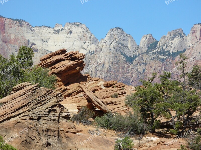 Rock Nature Shrubs Zion Free Photos