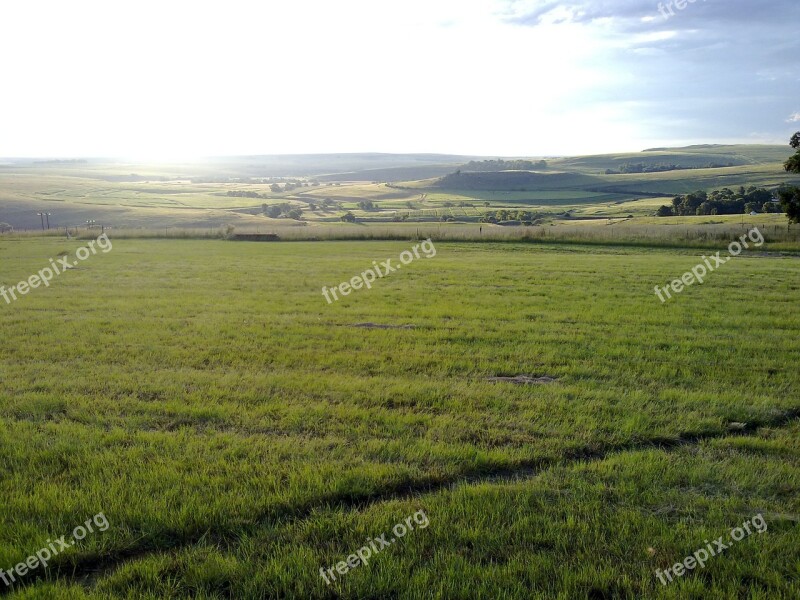 Farm Field Nature Green Summer