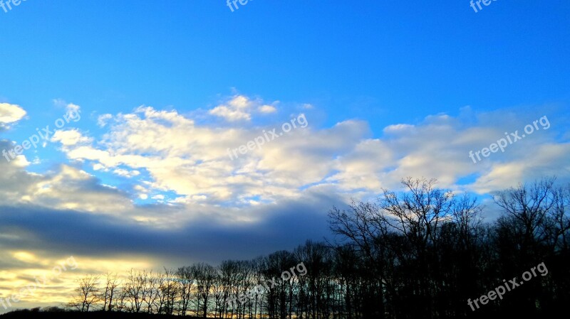 Field Forest Sky Horizon Tree