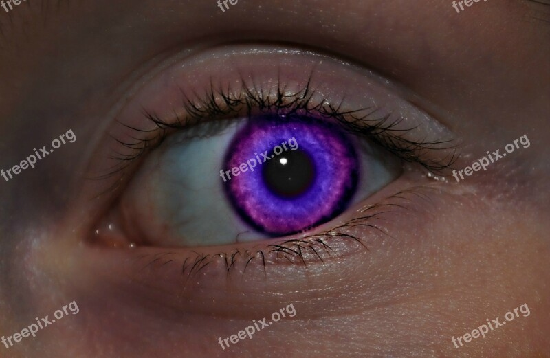 Eye Purple Blue Woman Makeup