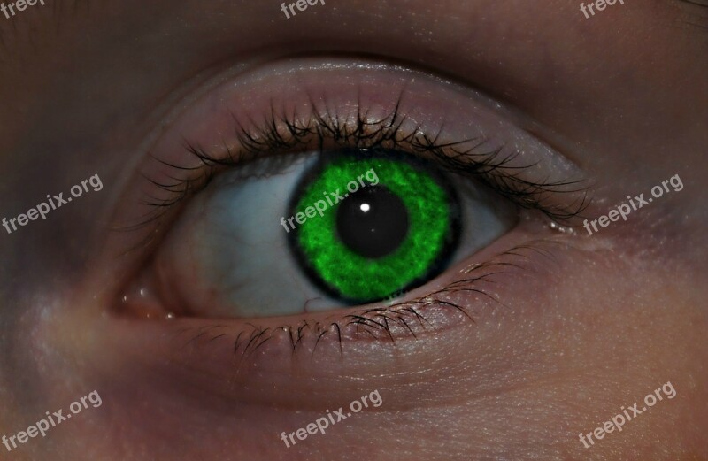 Eye Green Face Woman Female