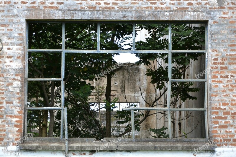 Window Home Tree Abandoned Power Plant