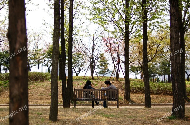 Lovers Seonyudo Spring Bench Free Photos