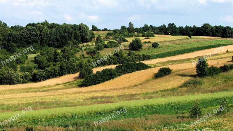 Mite Meadow Field Summer Holidays