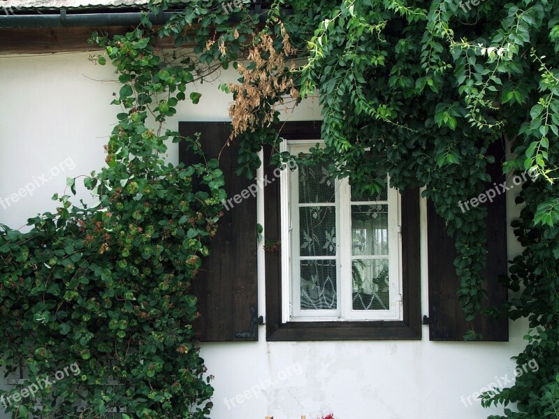 Window Monument Detail Of Architecture Shutters