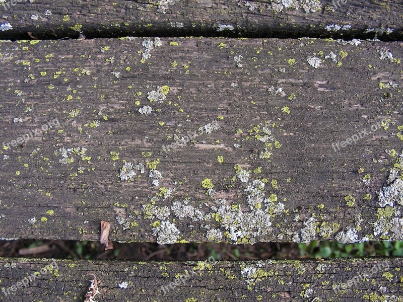 Weathered Board Moss Wood Plank