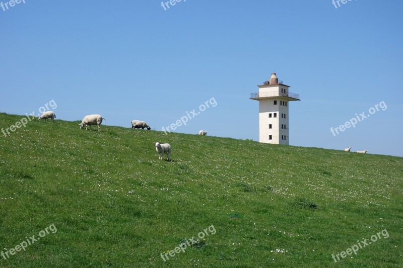 Dike Weser Dyke Blexen Pasture Tower