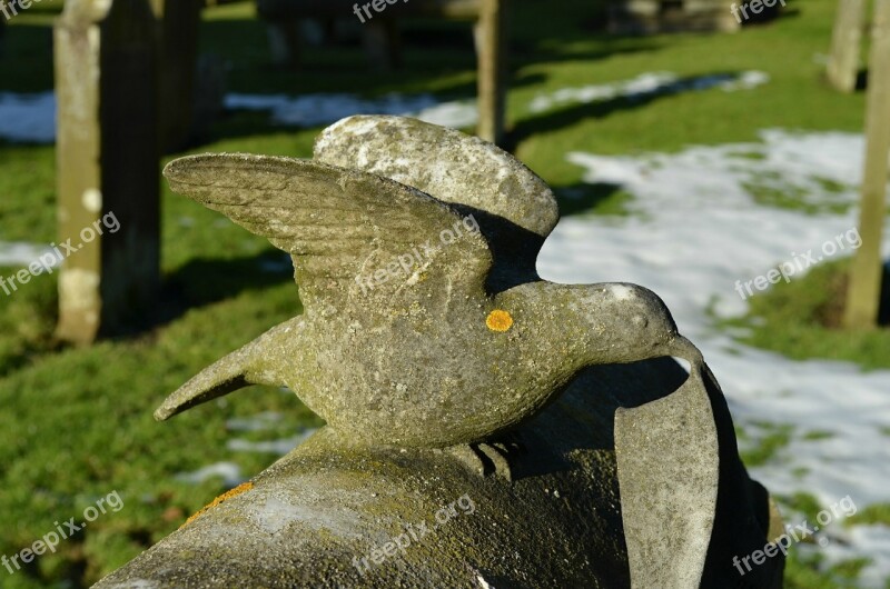 Dove Gravestone Cemetery Graveyard Tombstone