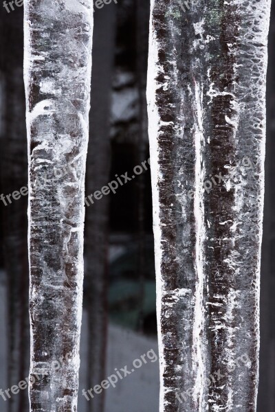 Ice Icicle Window Cold Winter