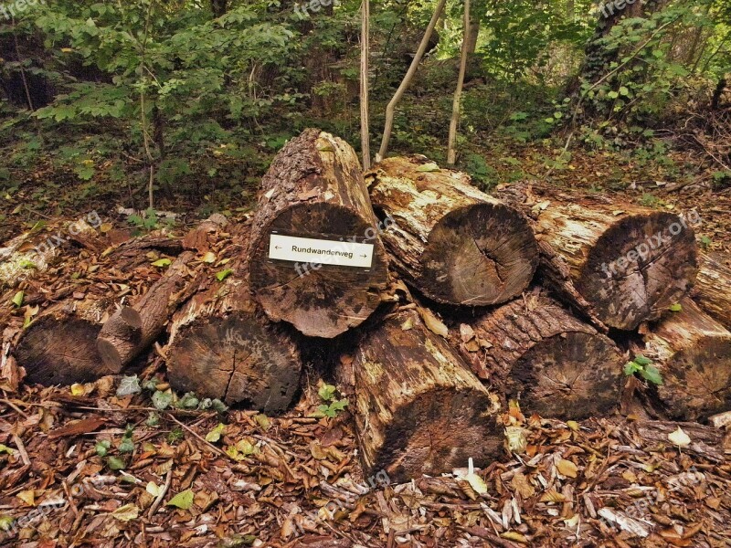 Tree Trunks Directory Nature Ailing Signpost