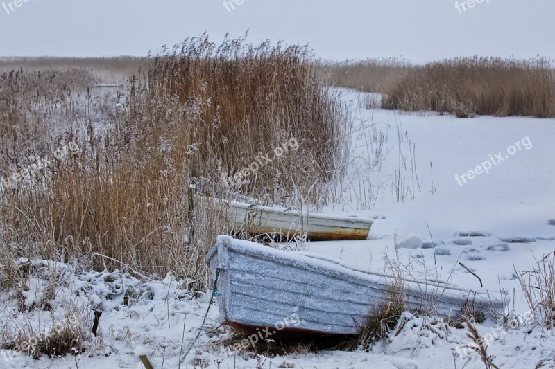 Winter Snow Wintry Boat Reed