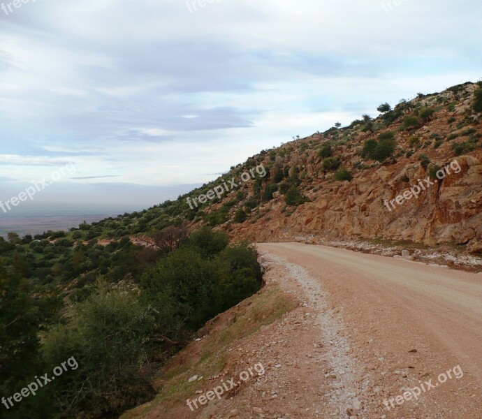 Road Shrubs Earth Free Photos