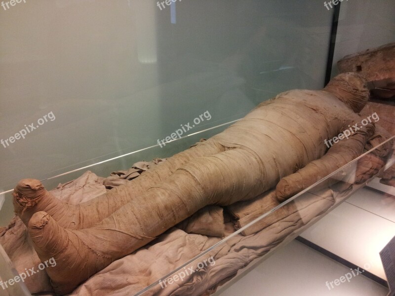 Egyptian Museum Mummy Antiquity Free Photos