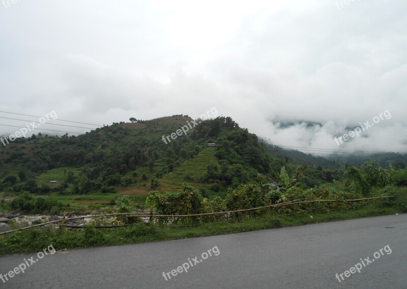 Landscape Nature Green Mountain Trees