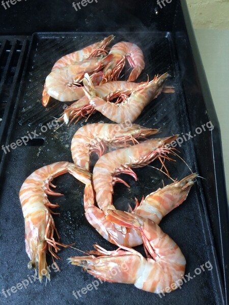 Prawns Bbq Shrimp Free Photos