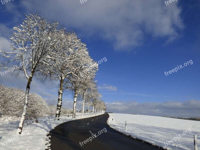 Trees Snow Landscape Freezing Blue Sky Snow