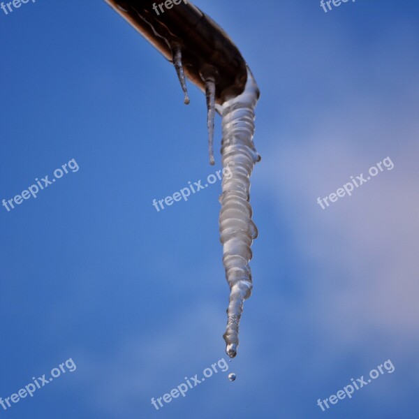 Ice Icicle Cold Frozen Winter