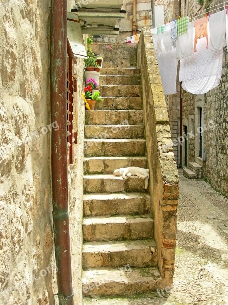 Cat Dubrovnik Lane Staircase Linen