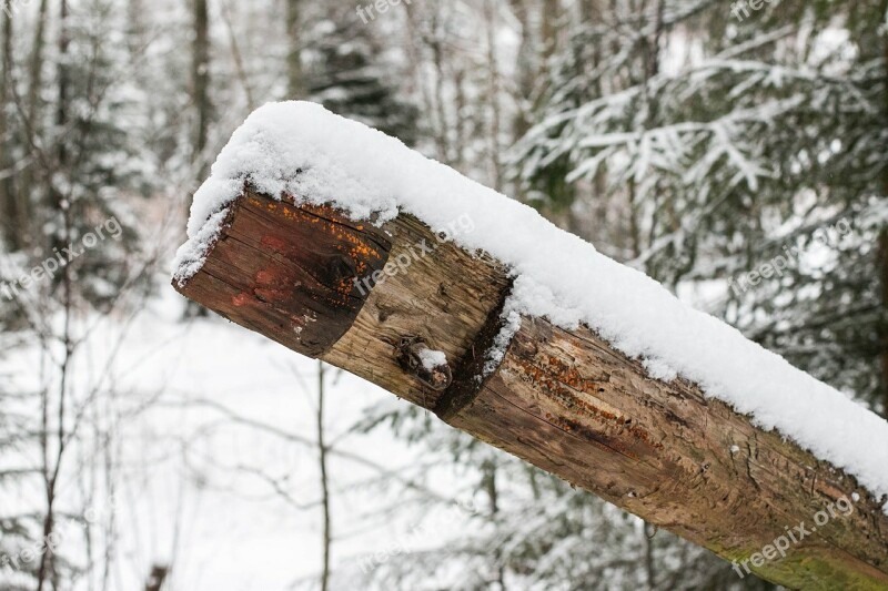 Winter Stock Wood Free Photos