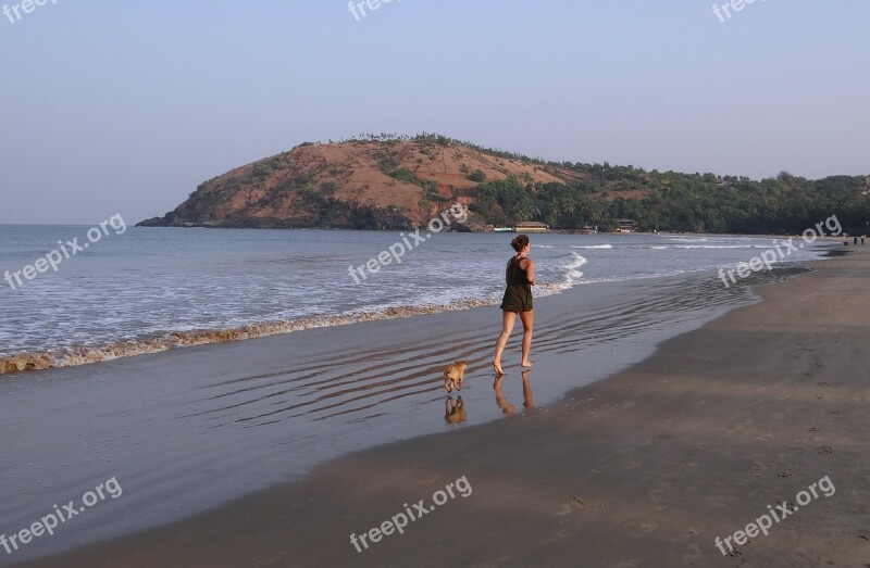 Puppy Beach Sand Playing Jogger