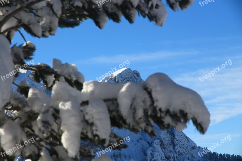 Snow Mountain Winter Sky Tree