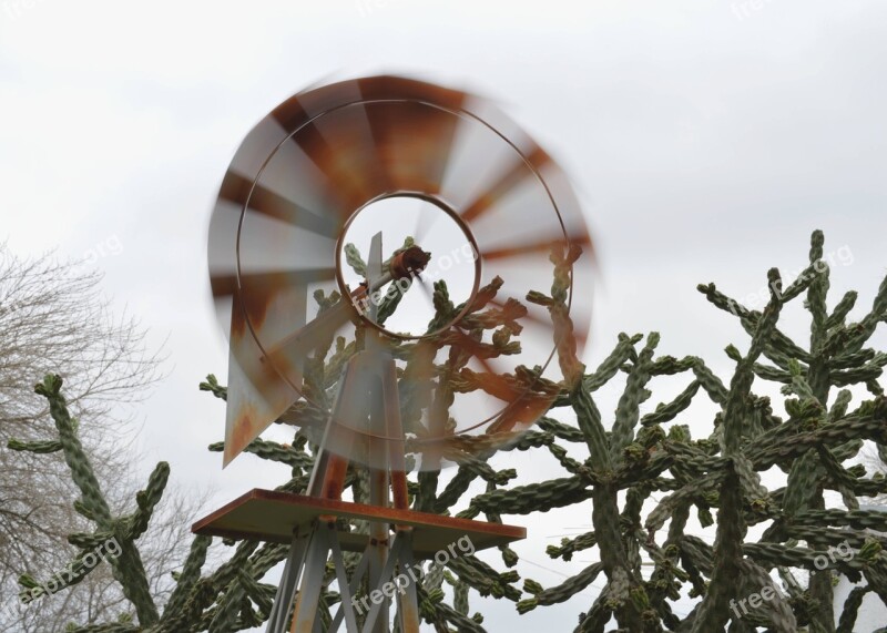 Windmill Cactus Motion Spin Picturesque