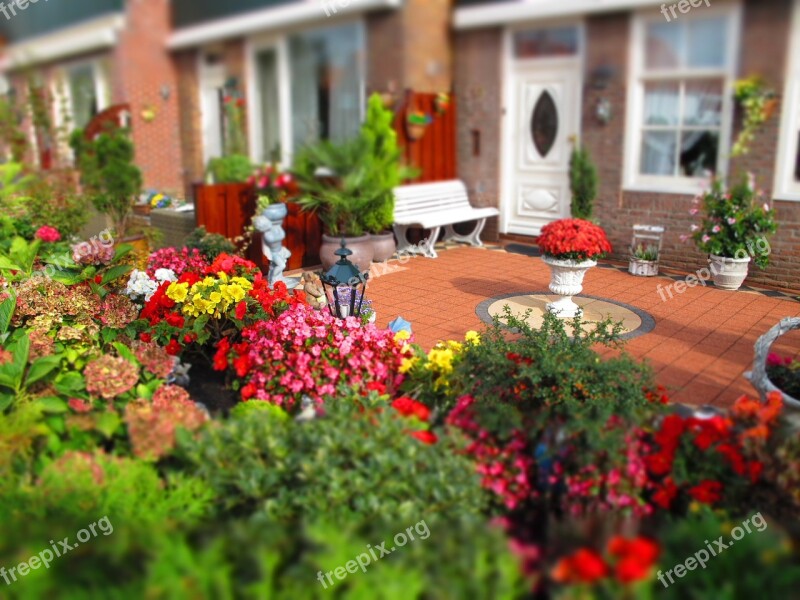 Holland House Patio Garden Flowers