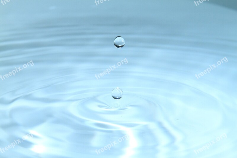 Drop Macro Water Nature Free Photos