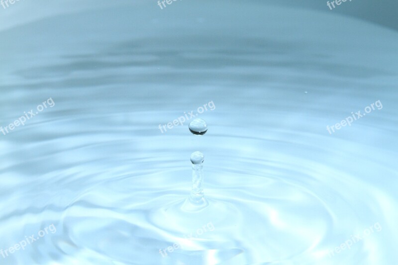 Drop Water Macro Nature Free Photos