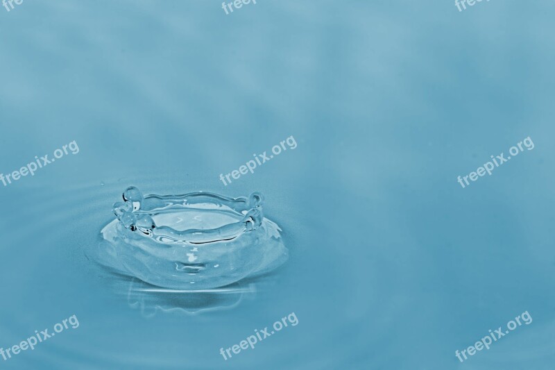 Drop Water Macro Nature Free Photos