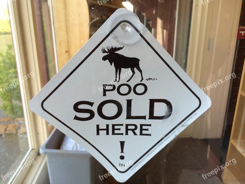 Poo Animal Moose Funny Free Photos