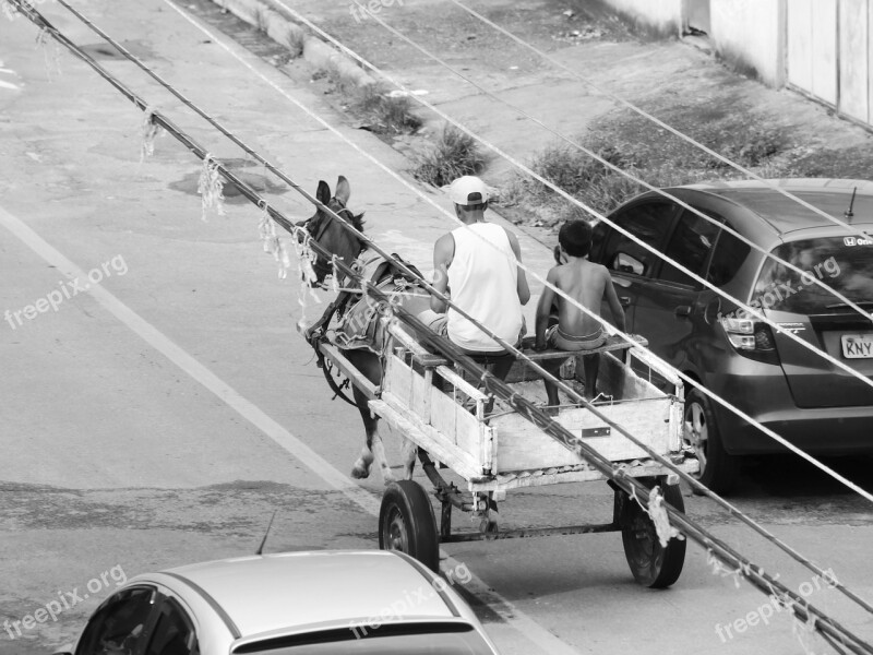 Wagon Horse Man Worker Farm