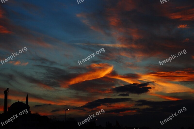 Turkey Istanbul Sky Animal Sunset